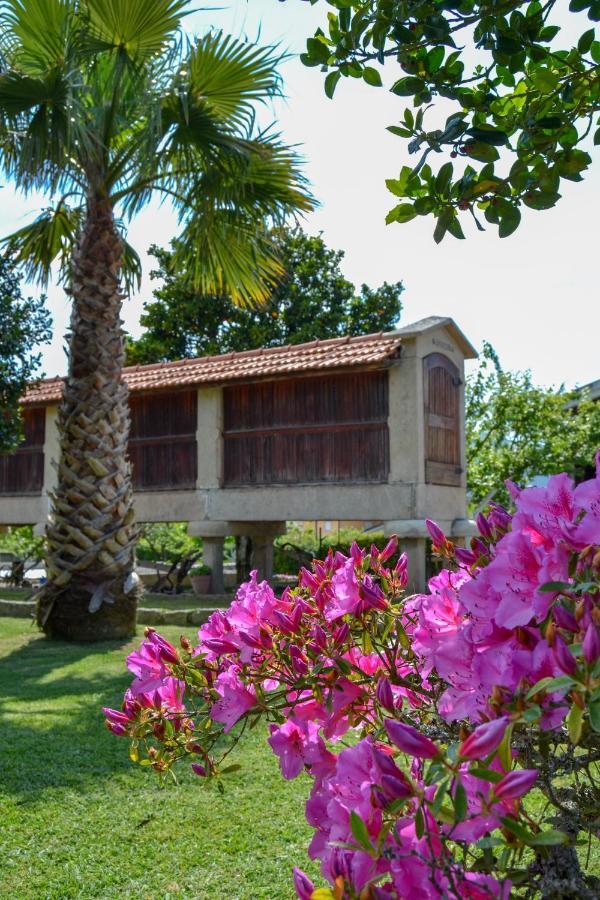 Casinha Do Eido Novo - Alojamento Local Valenca Kültér fotó